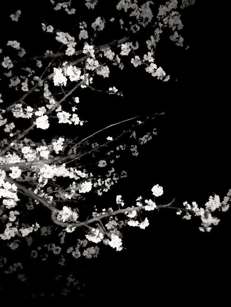 flowerBig